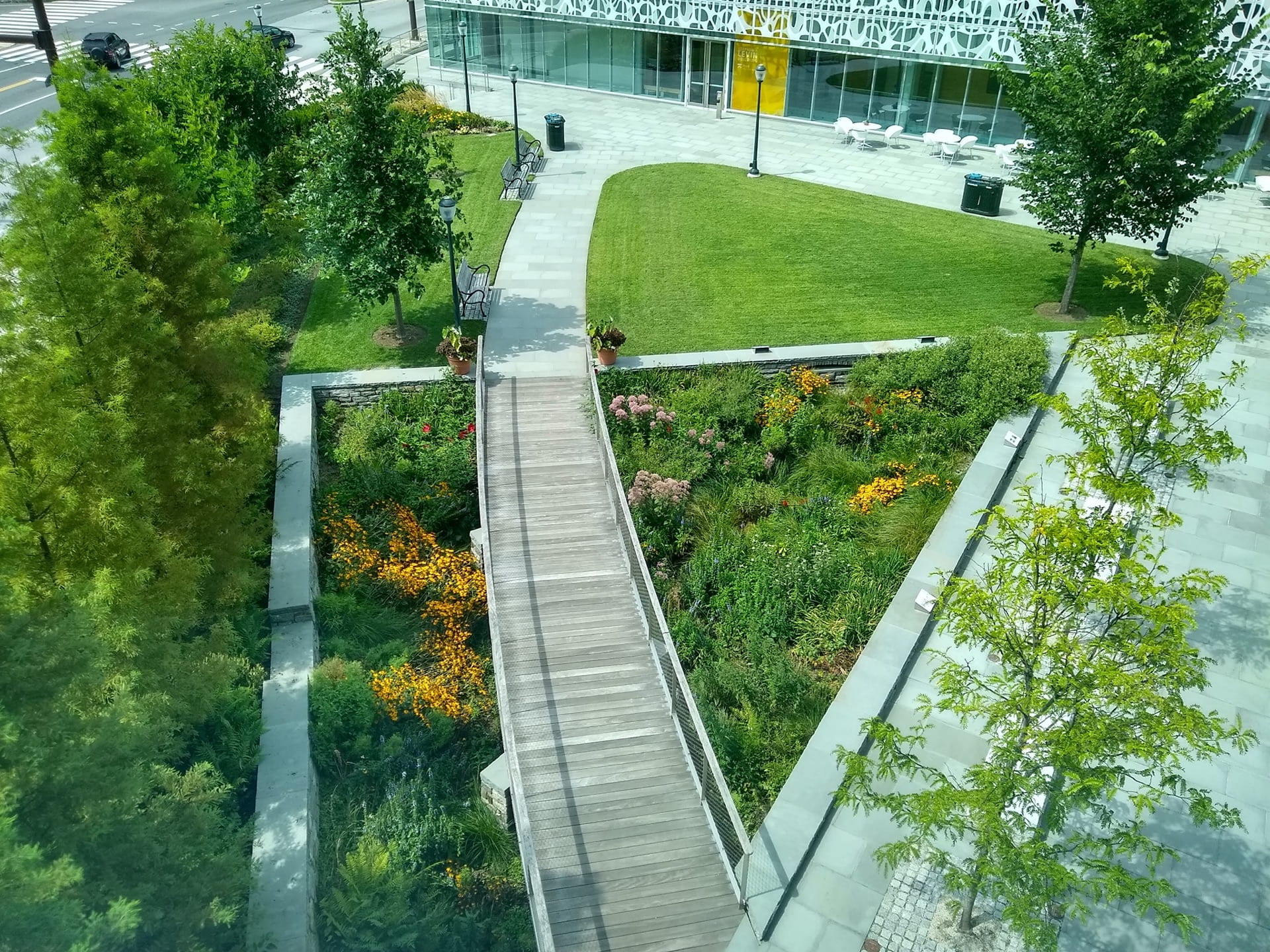 An aerial view of the Rain Garden in full bloom, seen from Lynch Labs.