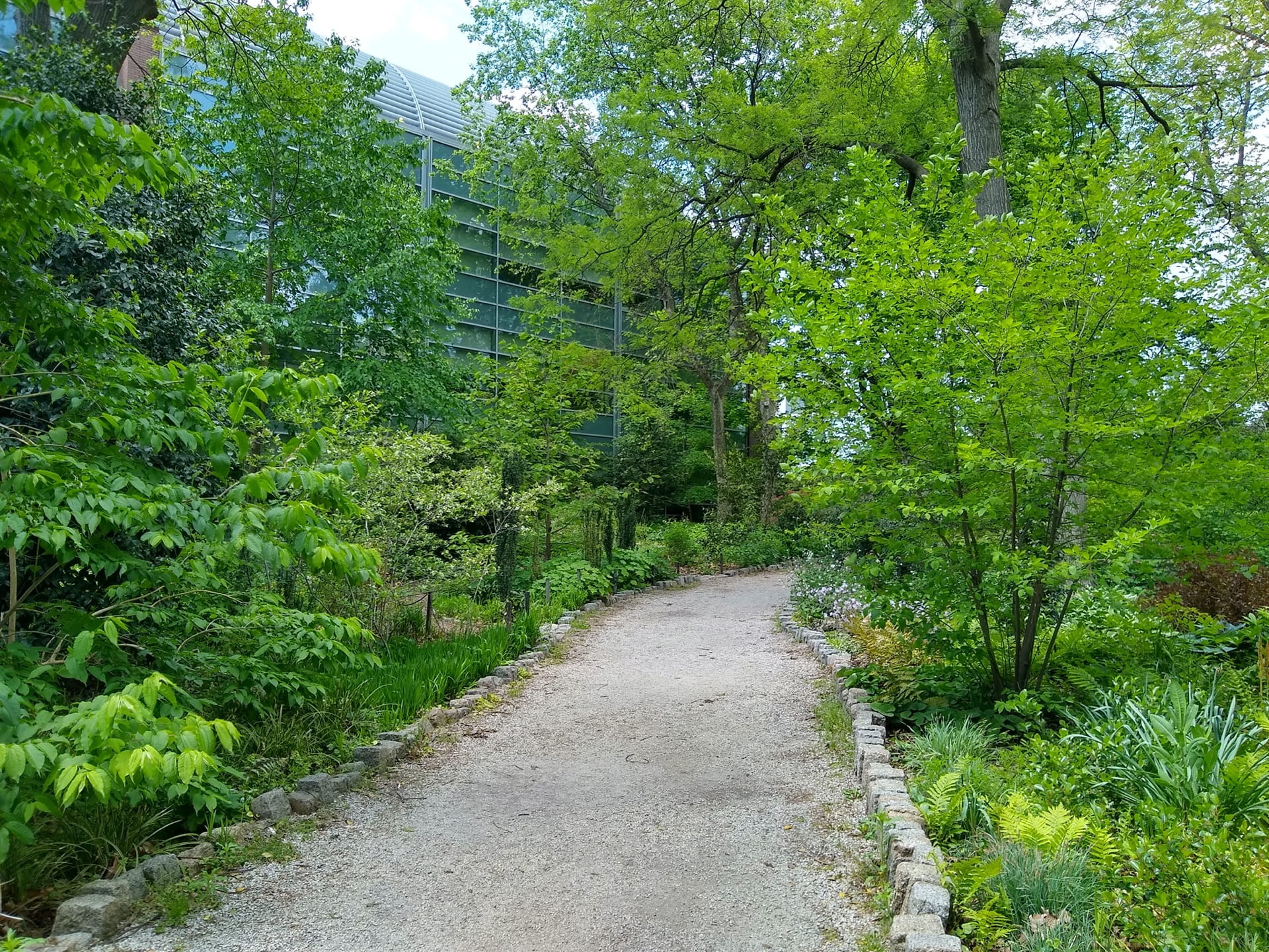 A spring view looking down the Main Path.