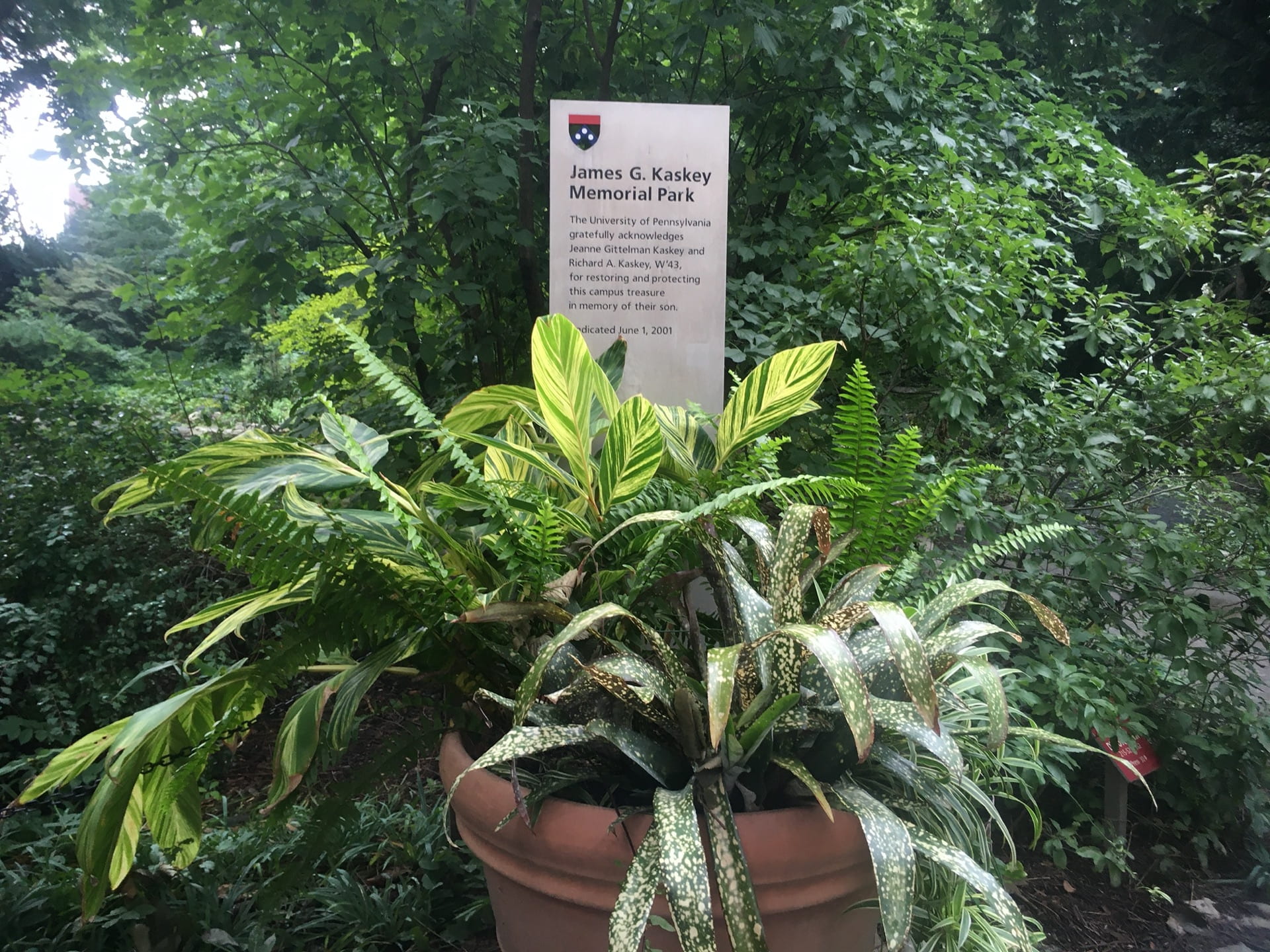 A tropical container display welcomes visitors to the park.