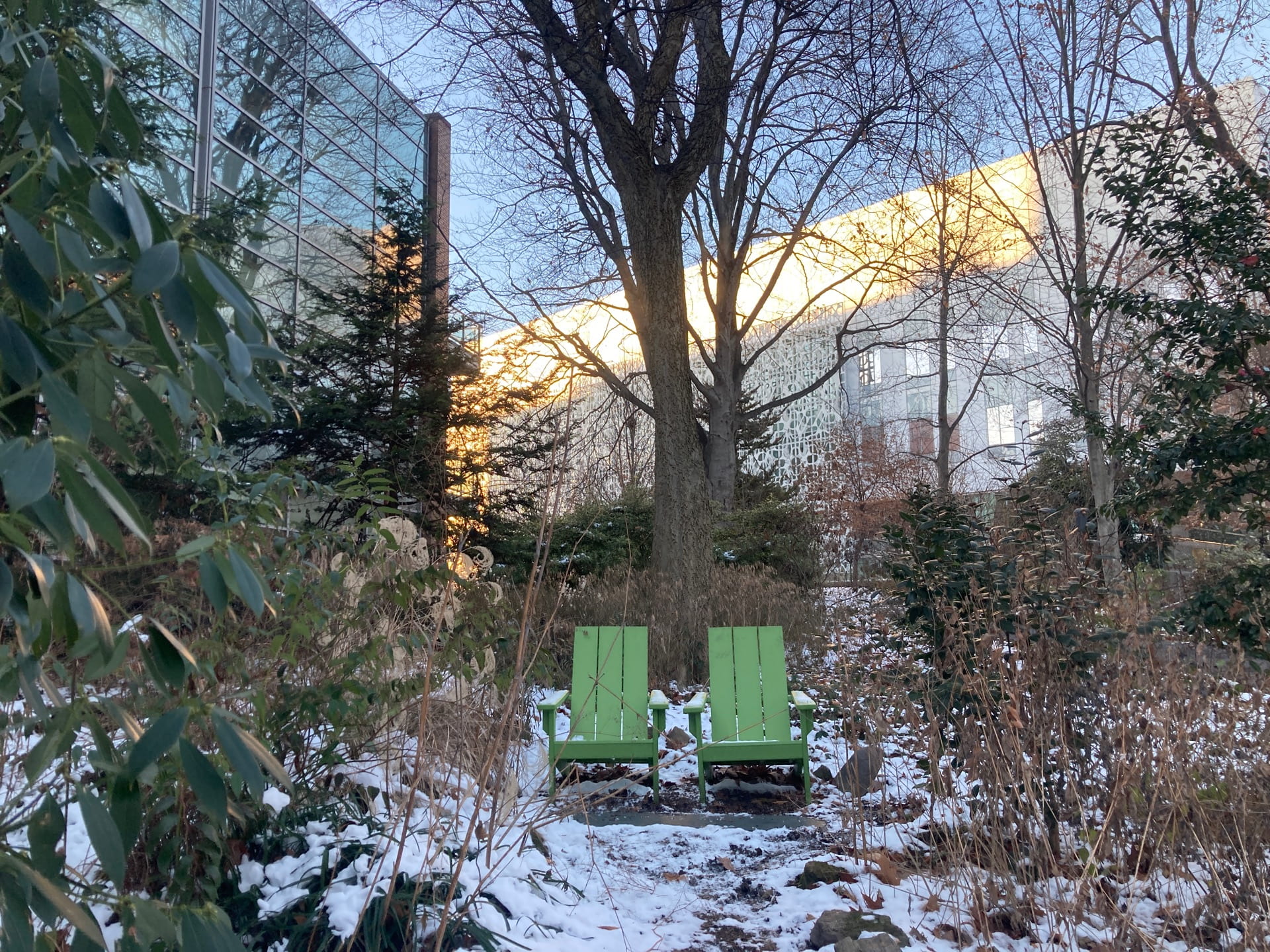 A pair of green chairs in the snow.