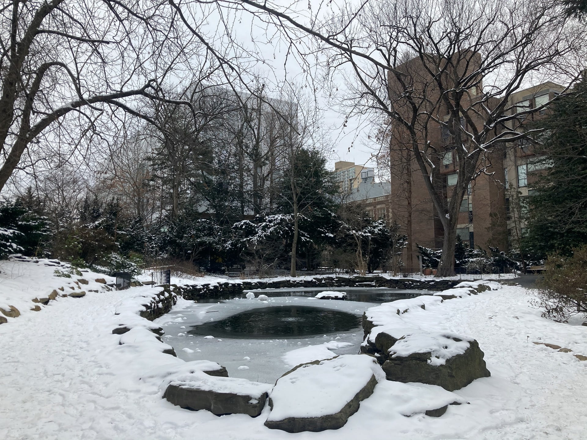 A narrow view of the BioPond, covered in snow.